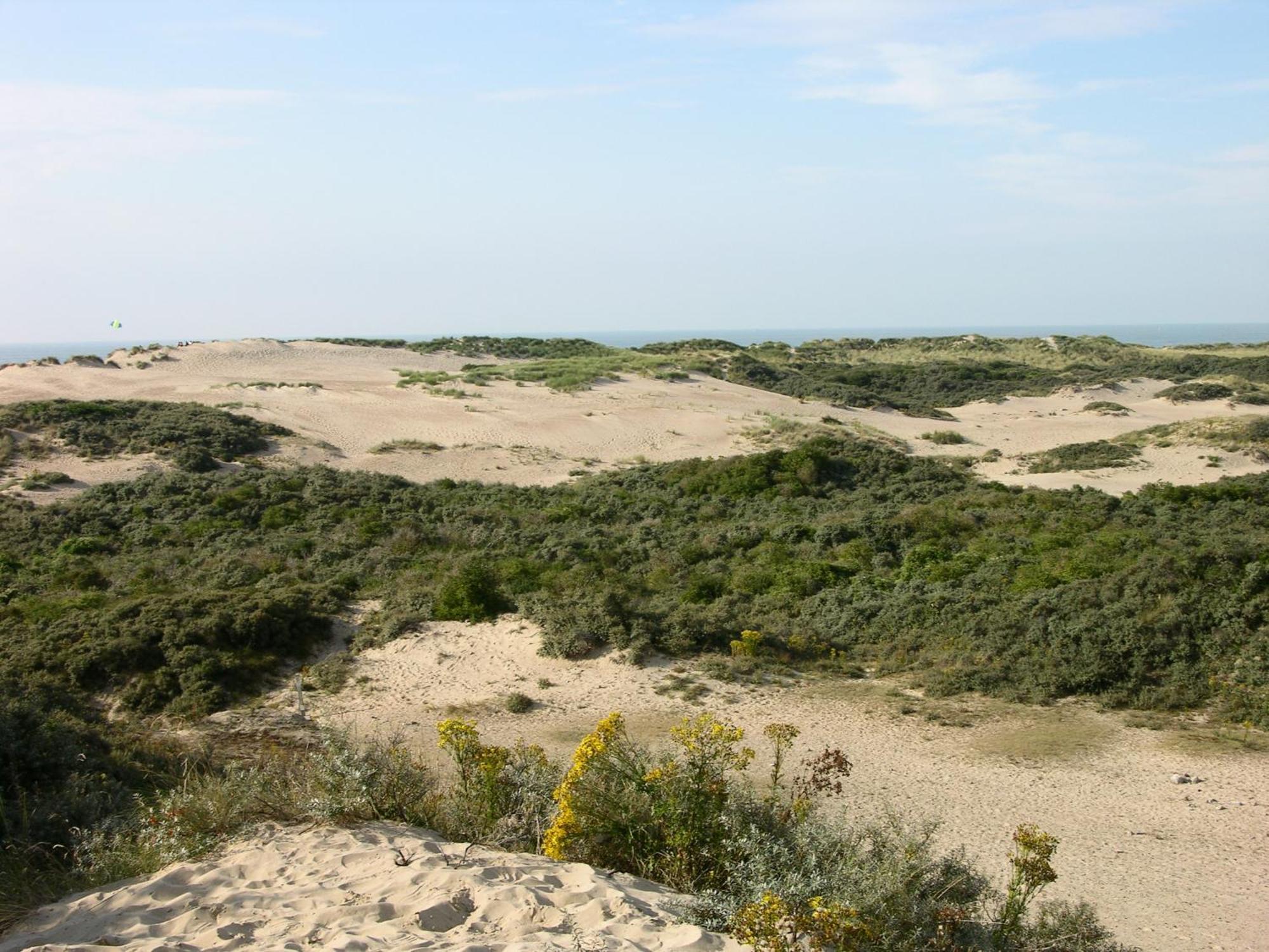 Hotel Carnac Koksijde Eksteriør bilde